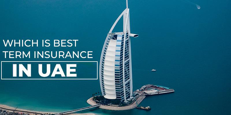 Which is Best Term Insurance in UAE